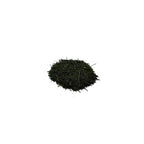 Sencha Saemidori